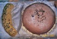 /album/fotogalerie-fotogalerie10/img-0064-jpg/